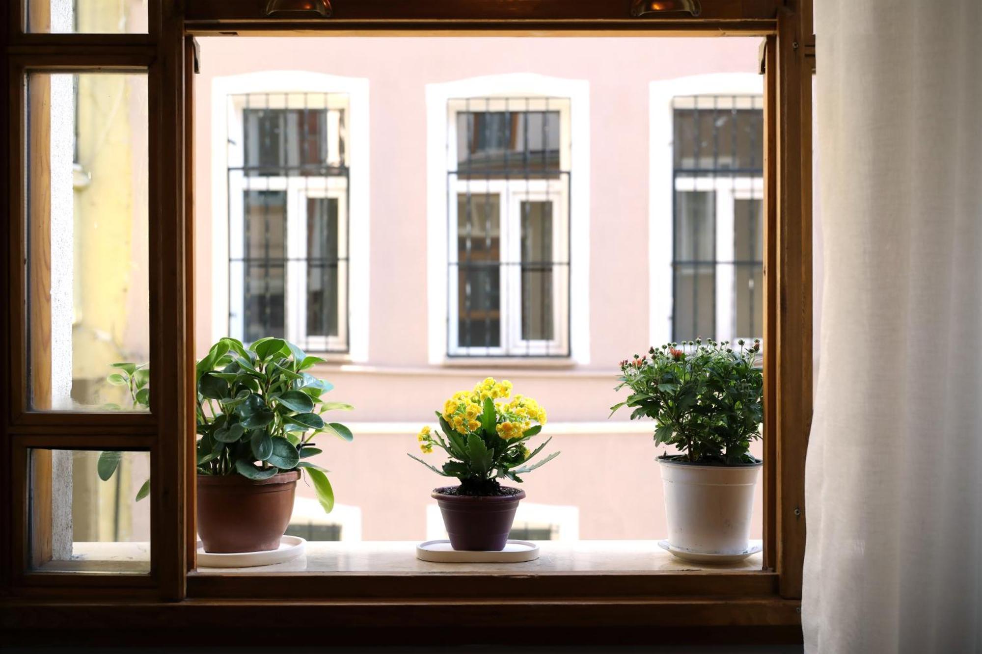 Narpera Taksim Boutique Hotel Stambuł Zewnętrze zdjęcie